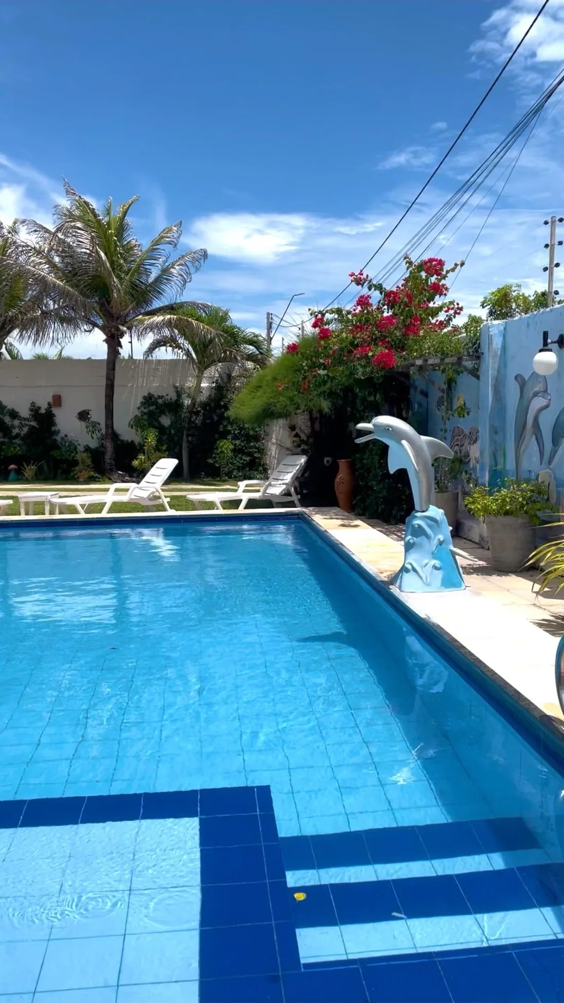 Piscina da Casa Bem-te-vi em dia de sol, com a primavera florida e o muro pintado ao fundo