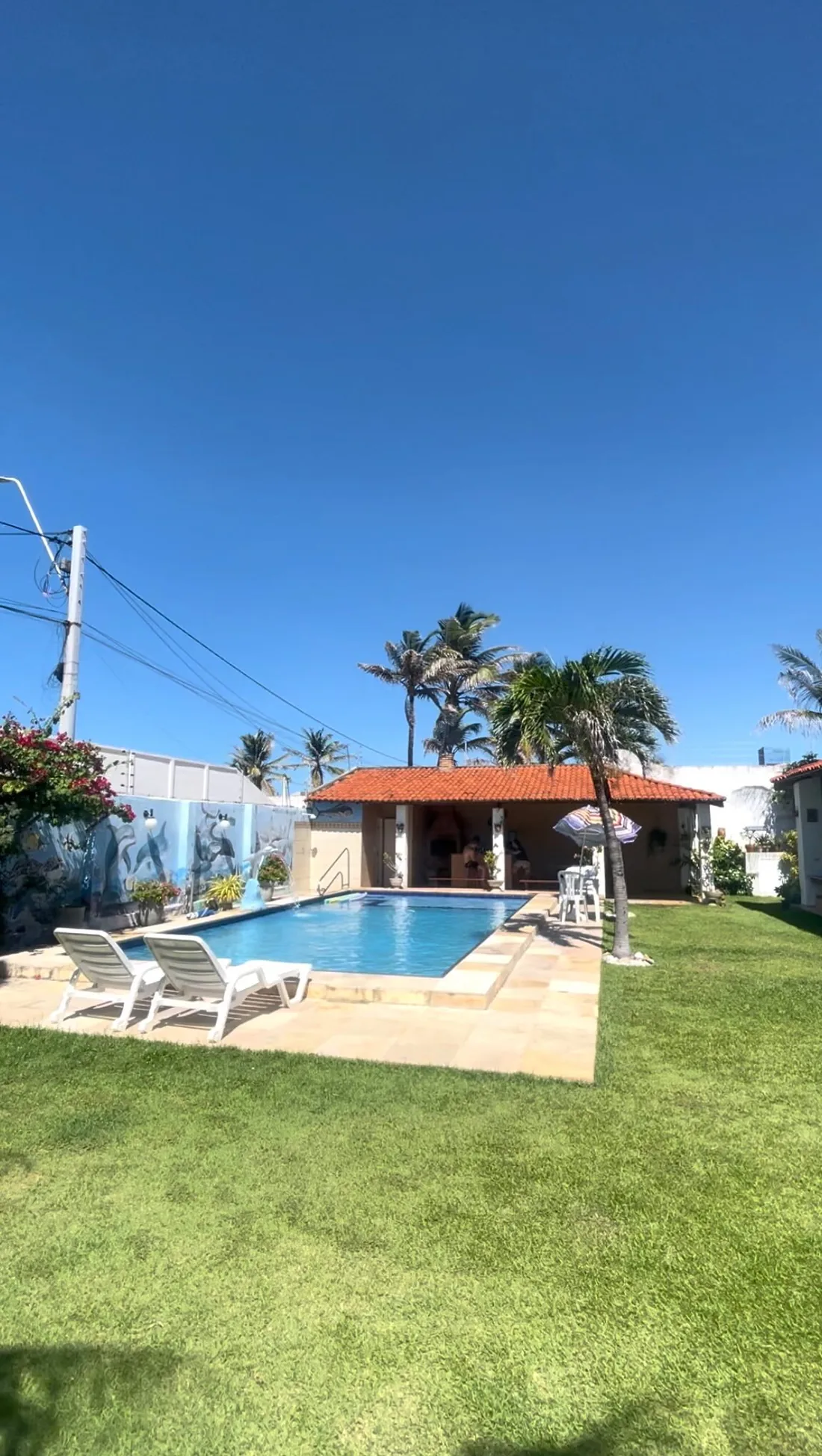Piscina com espreguiçadeiras e fileira de coqueiros ao fundo