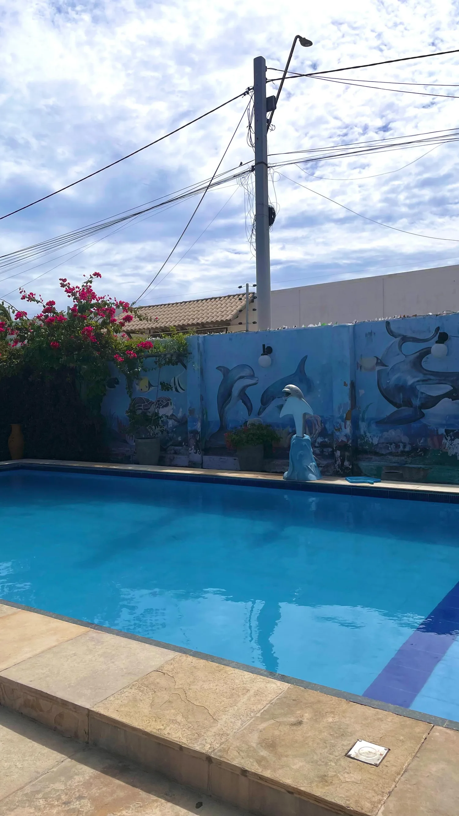 Piscina vista de lado, com a fonte de golfinho e o muro pintado
