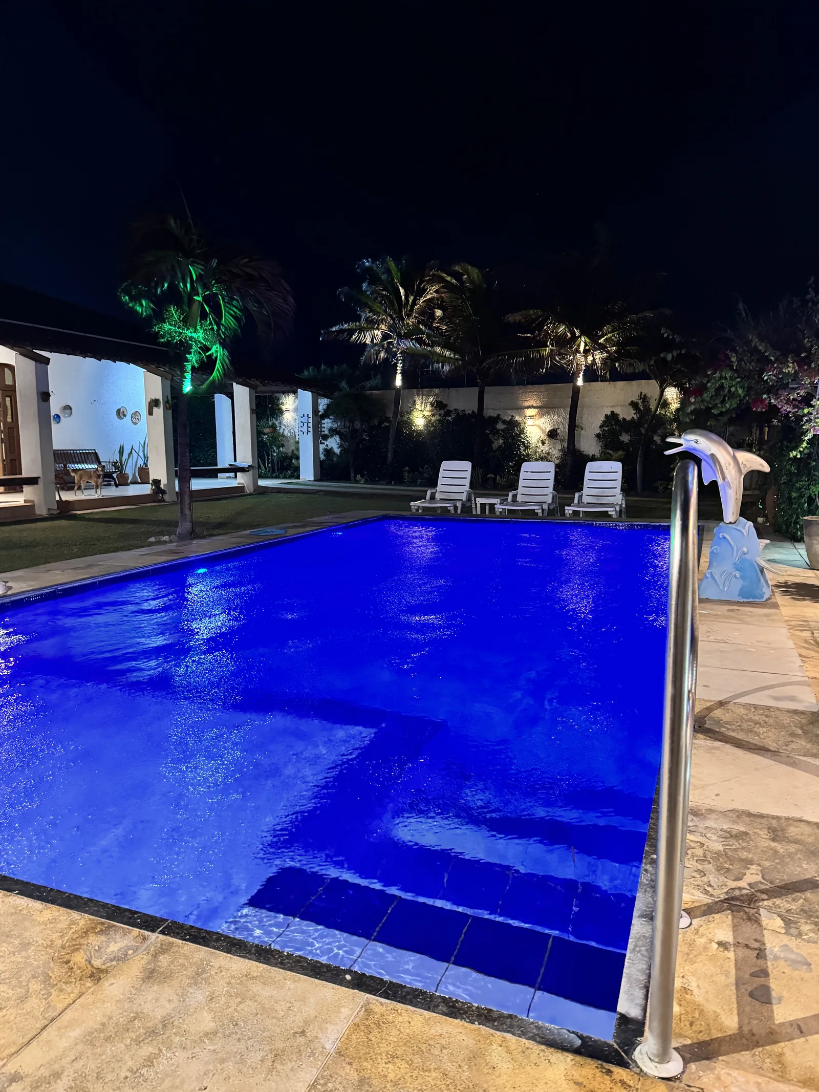 Piscina iluminada de azul à noite, com as luzes do deck e do jardim acesas ao fundo