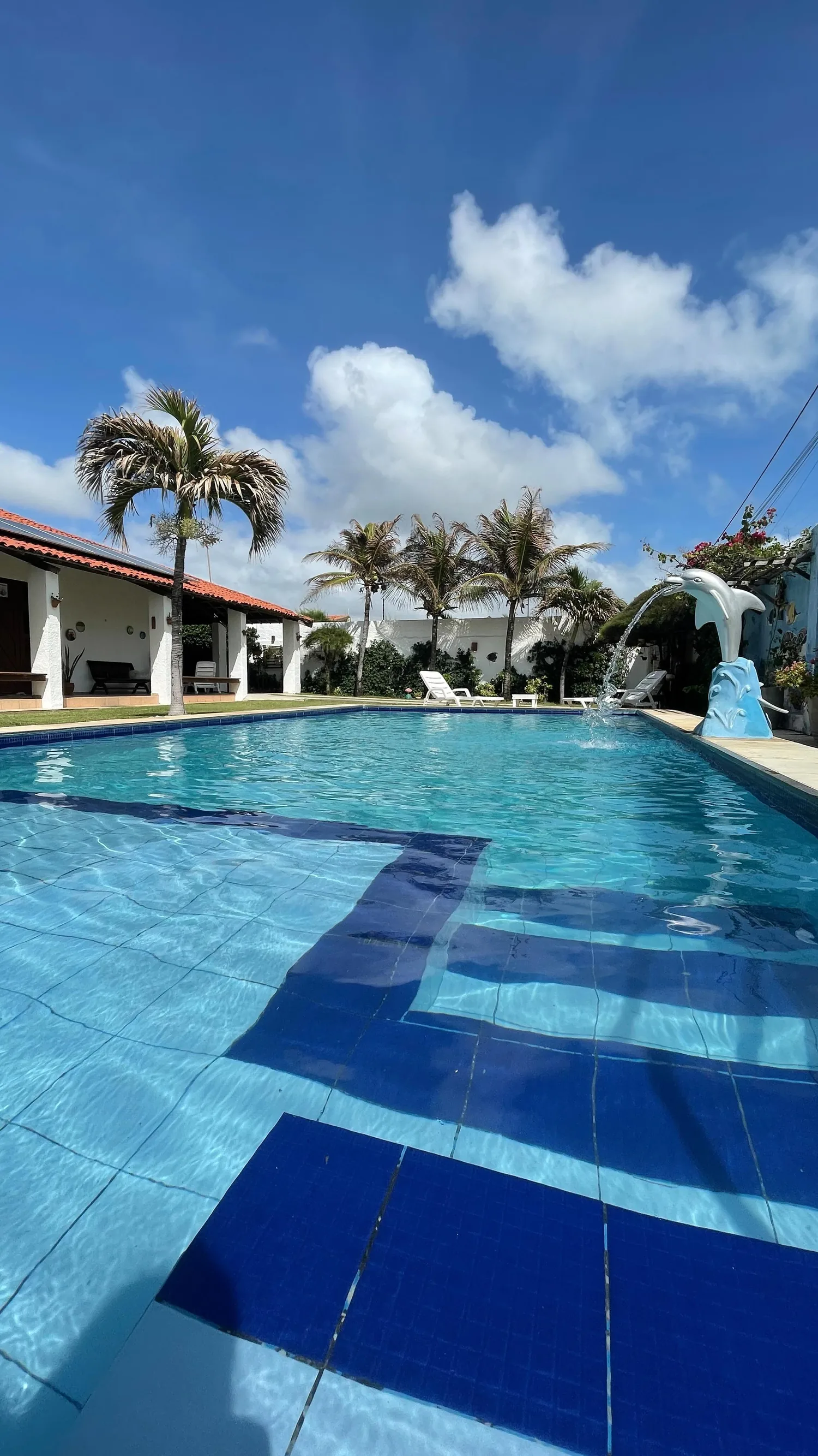 Piscina da Casa Bem-te-vi com duas palmeiras plantadas na borda, sob o céu azul