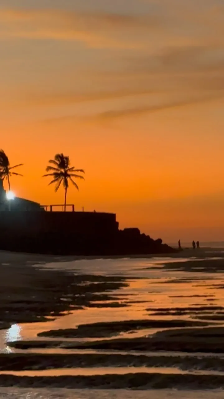 Fim de tarde na praia, com a silhueta de um coqueiro e o reflexo do sol
